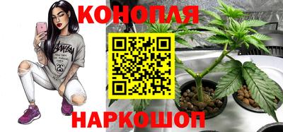 амф Канаш