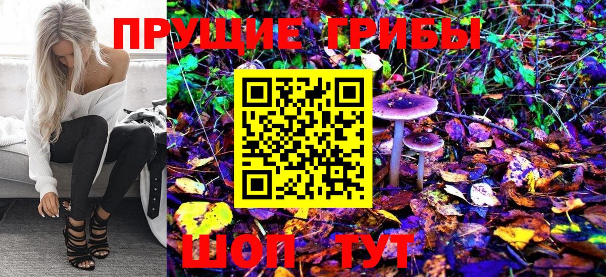 Псилоцибиновые грибы Magic Shrooms  Вход с VPN  Галлюциногенные грибы ЛСД  Кропоткин 