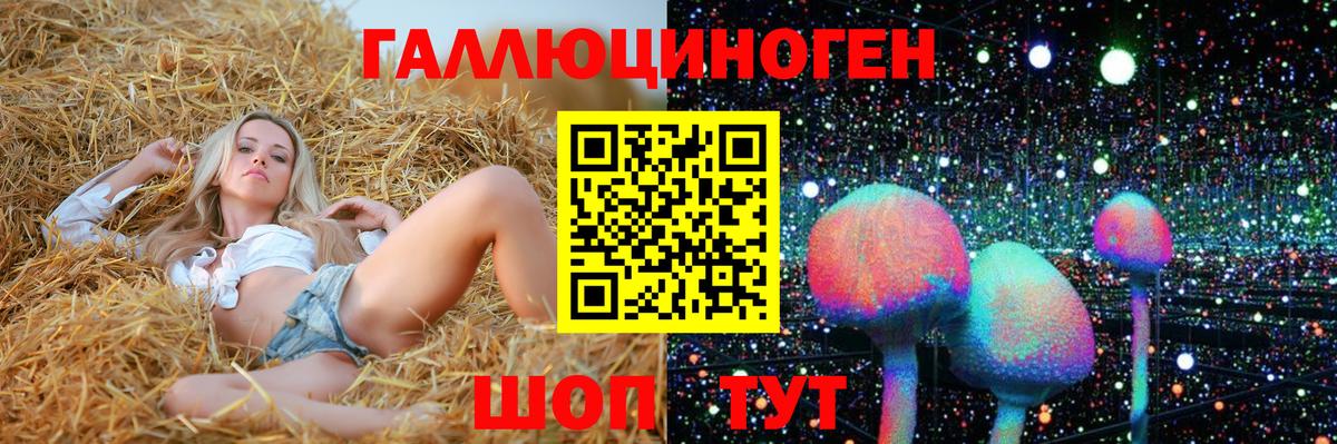 Псилоцибиновые грибы Psilocybe Кропоткин
